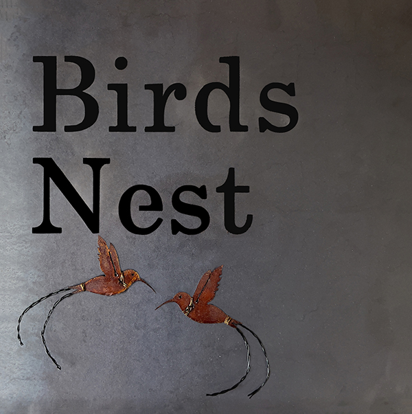 Birds Nest Logo